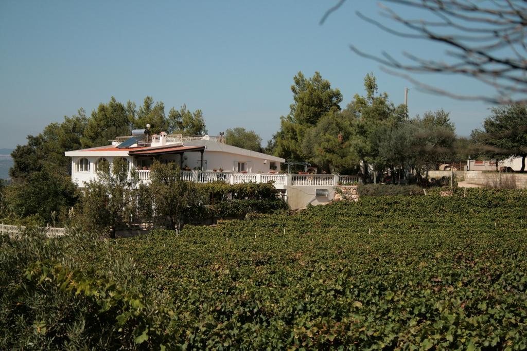 Villa Maria 도르갈리 외부 사진