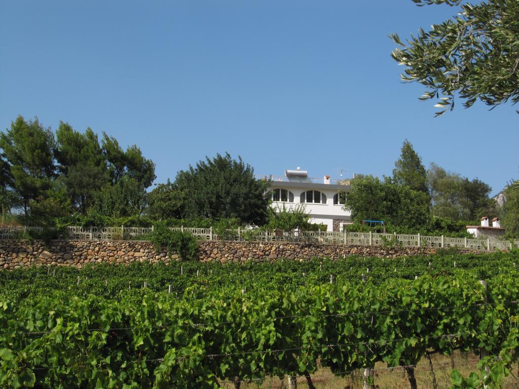 Villa Maria 도르갈리 외부 사진